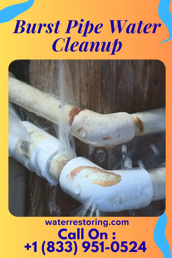 Burst Pipe Water Cleanup in Florence, MS